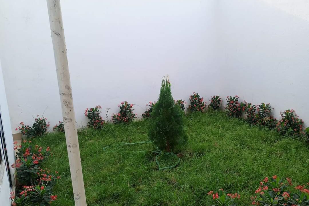 IMG-20230402-WA0145