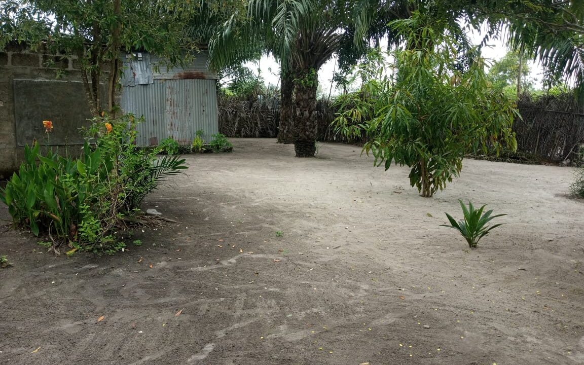 IMG-20230722-WA0023
