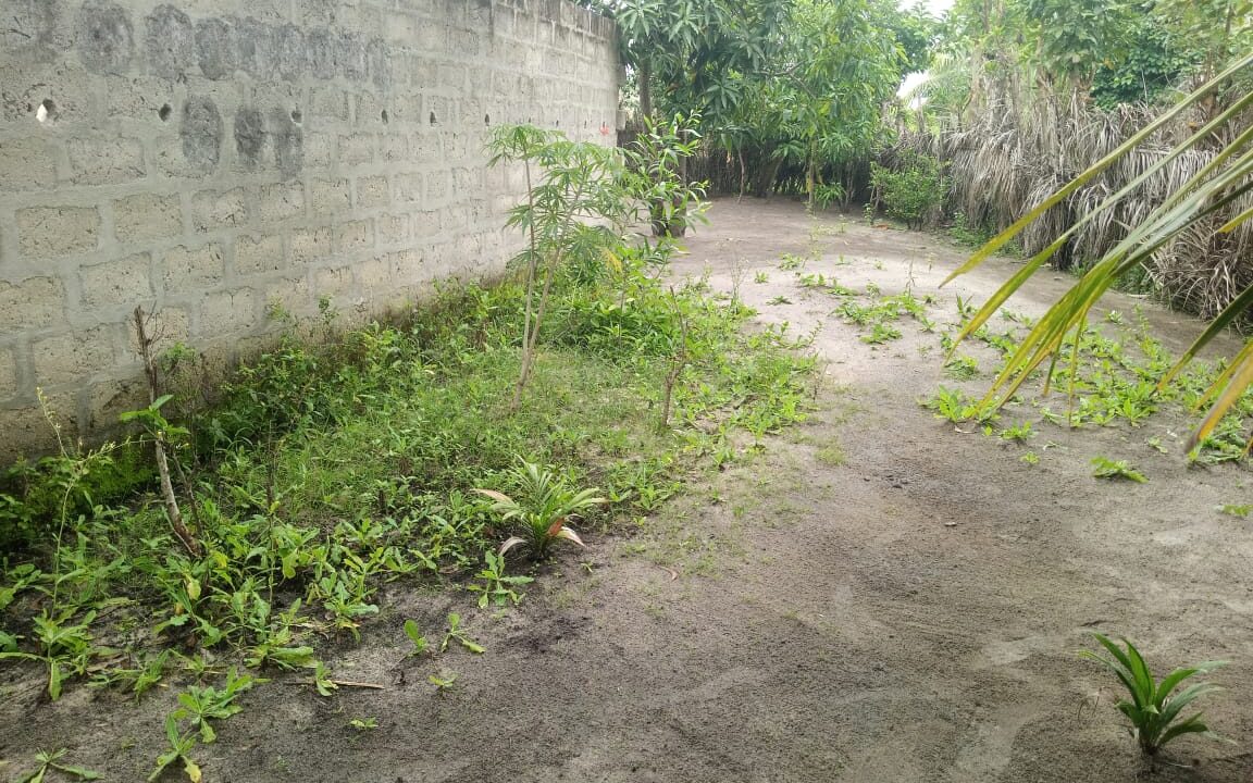 IMG-20230722-WA0025