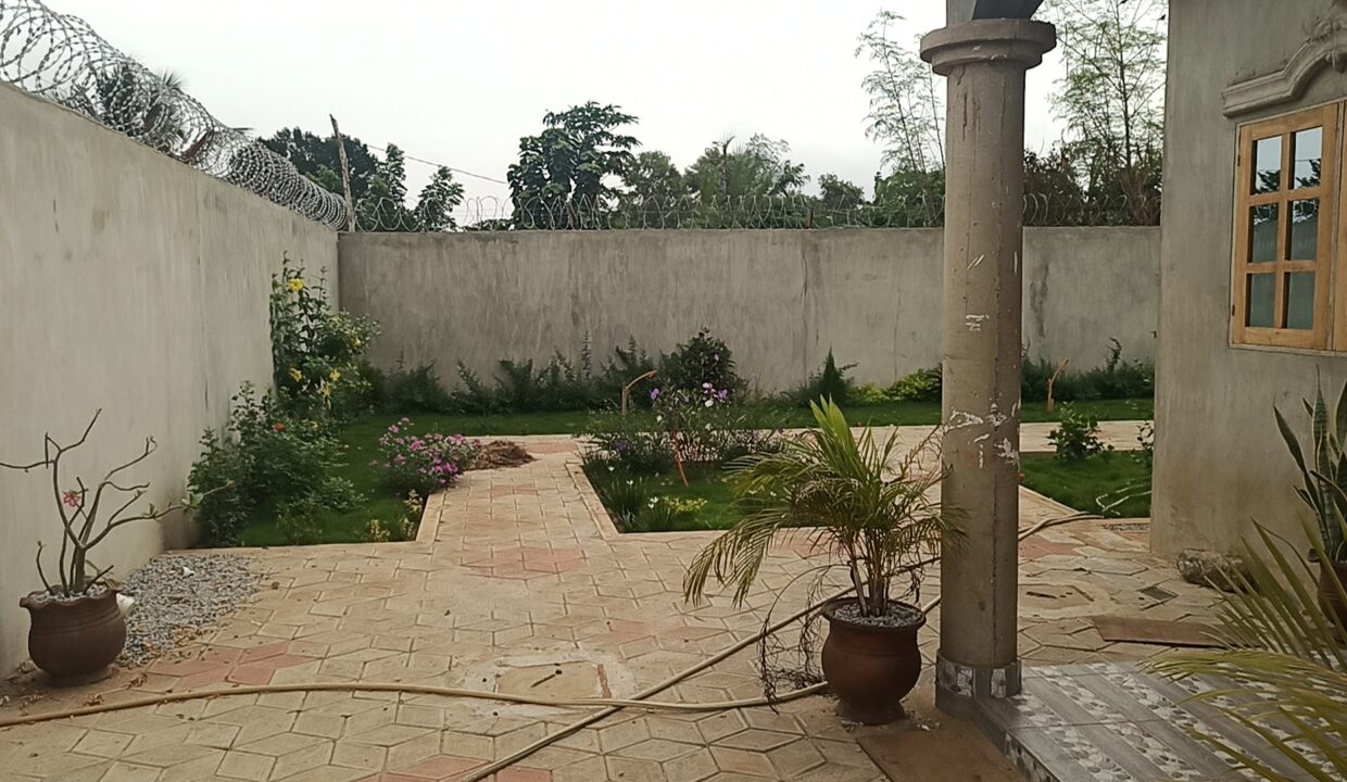 IMG_20230708_113611_2